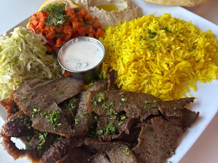 Gyro Plate